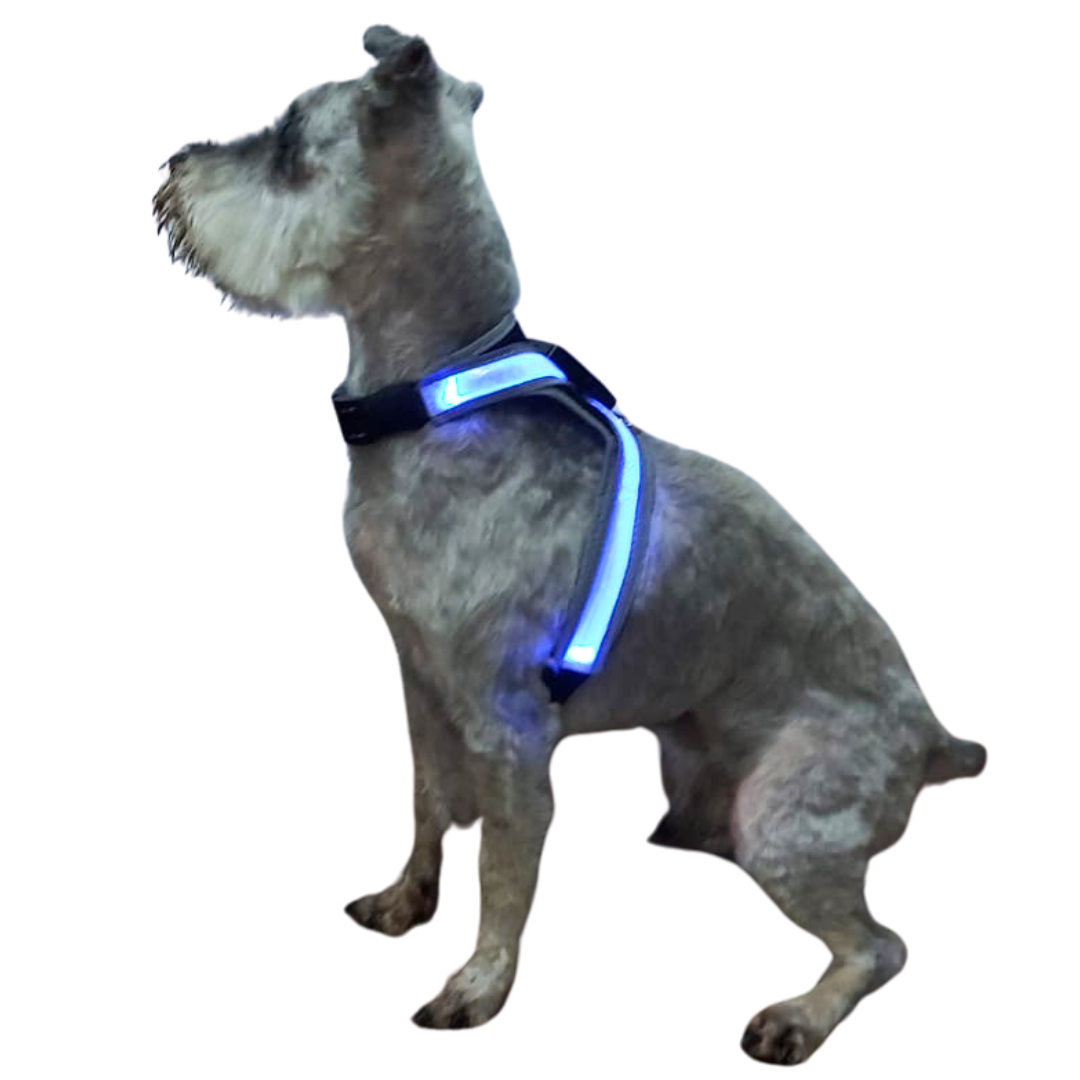 Arnés para perro con luz