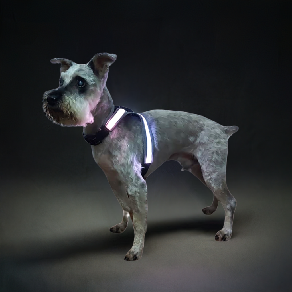 Arnés para perro con luz