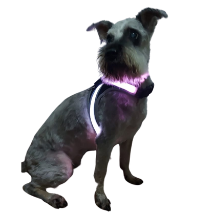 Arnés para perro con luz