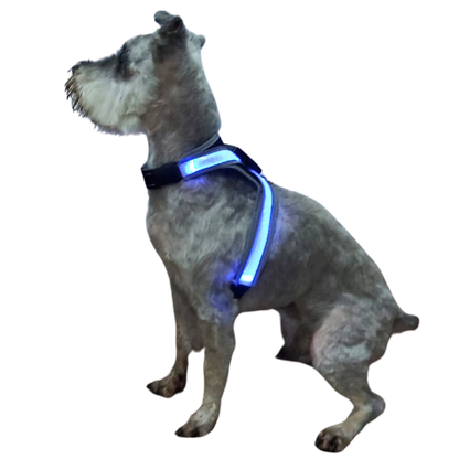Arnés para perro con luz