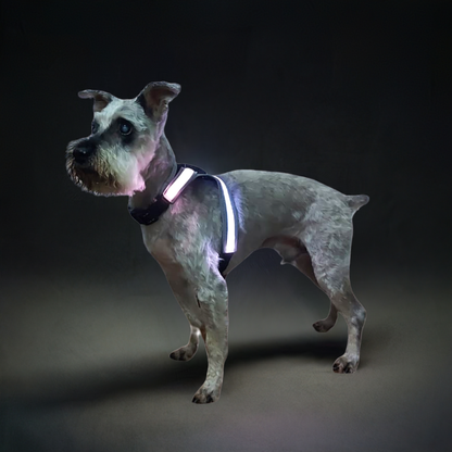 Arnés para perro con luz